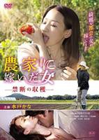 《禁忌9》完整版