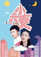 夫妻大作战1-28集全免费