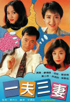 美剧《一夫三妻》第一季在线播放