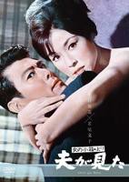 《对不起丈夫请原谅》中文版