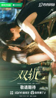 《双轨》电视剧免费观看--全集在线播放高清完整版电视剧