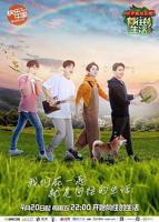 《向往的生活第二季》综艺在线观看-全集大陆综艺-