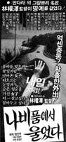 花蝴蝶19免费观看全部电视剧